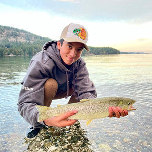 Meet your Posher, Spencer